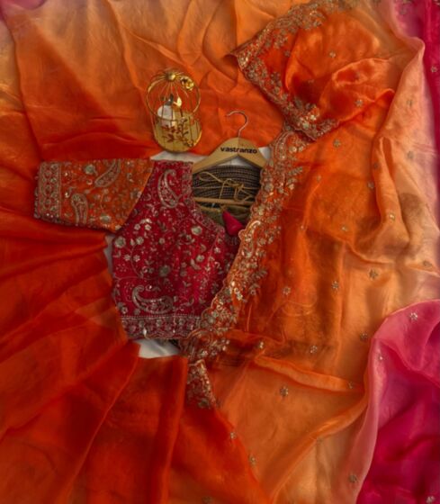 Artistic and elegant saree